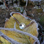Duottar/ Tundra